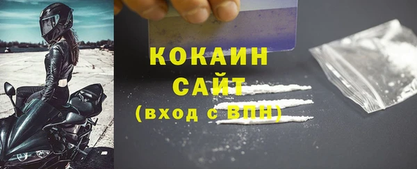 дурь Гусев