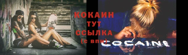 дурь Гусев
