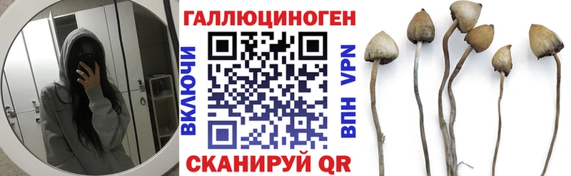 Псилоцибиновые грибы прущие грибы  Черняховск 